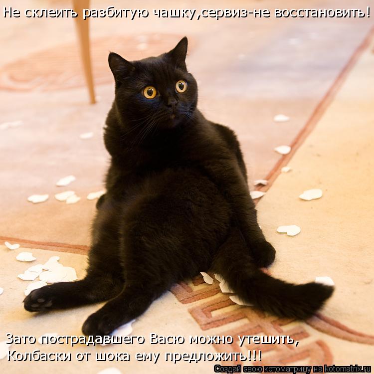 Не склеить разбитую чашку,сервиз-не восстановить! Зато пострадавшего Васю можно утешить, Колбаски от ... Котоматрица: Не склеить разбитую чашку,сервиз-не восстановить! Зато пострадавшего Васю можно утешить, Колбаски от шока ему предложить!!!