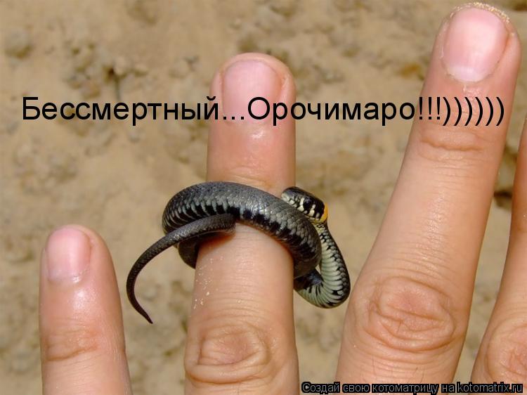 Бессмертный...Орочимаро!!!))))))... Котоматрица: Бессмертный...Орочимаро!!!))))))