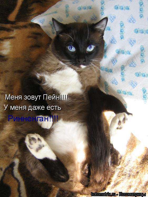 Меня зовут Пейн!!!! У меня даже есть Ринненган!!!! () ()... Котоматрица: Меня зовут Пейн!!!! У меня даже есть Ринненган!!!! () ()