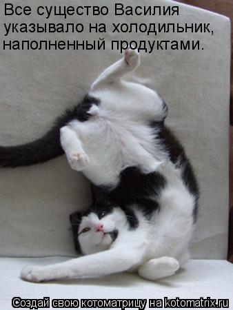 Все существо Василия указывало на холодильник, наполненный продуктами.... Котоматрица: Все существо Василия указывало на холодильник, наполненный продуктами.