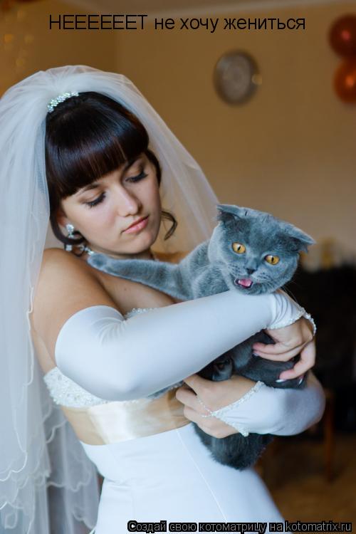 НЕЕЕЕЕЕТ не хочу жениться... Котоматрица: НЕЕЕЕЕЕТ не хочу жениться