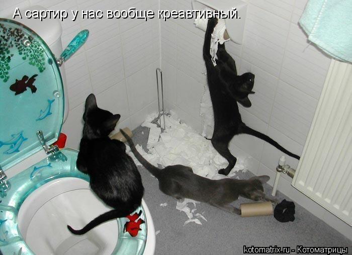 А сартир у нас вообще креавтивный.... Котоматрица: А сартир у нас вообще креавтивный.
