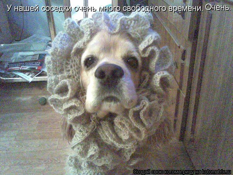 У нашей соседки очень много свободного времени. Очень.... Котоматрица: У нашей соседки очень много свободного времени. Очень.