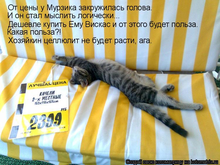 От цены у Мурзика закружилась голова. Дешевле купить Ему Вискас и от этого будет польза. Хозяйкин цел... Котоматрица: От цены у Мурзика закружилась голова. Дешевле купить Ему Вискас и от этого будет польза. Хозяйкин целлюлит не будет расти, ага. И он стал мыс