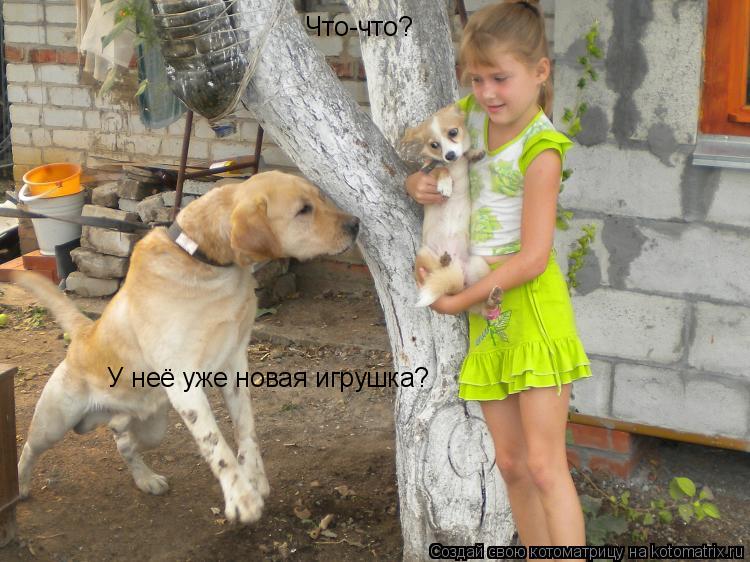 Что-что? У неё уже новая игрушка?... Котоматрица: Что-что? У неё уже новая игрушка?