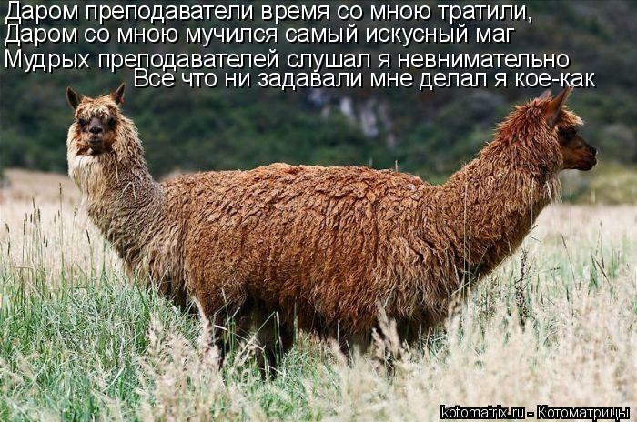 Даром преподаватели время со мною тратили, Даром со мною мучился самый искусный маг Мудрых преподават... Котоматрица: Даром преподаватели время со мною тратили, Даром со мною мучился самый искусный маг Мудрых преподавателей слушал я невнимательно Все что н