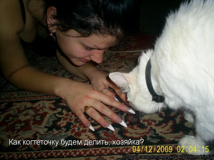 Как когтеточку будем делить, хозяйка?... Котоматрица: Как когтеточку будем делить, хозяйка?
