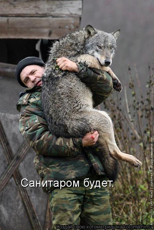 Санитаром будет.... Котоматрица: Санитаром будет.