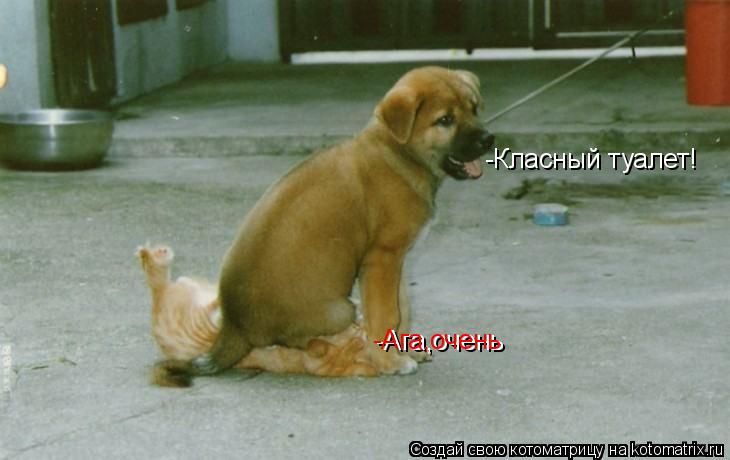 -Класный туалет! -Ага,очень -Ага,очень... Котоматрица: -Класный туалет! -Ага,очень -Ага,очень