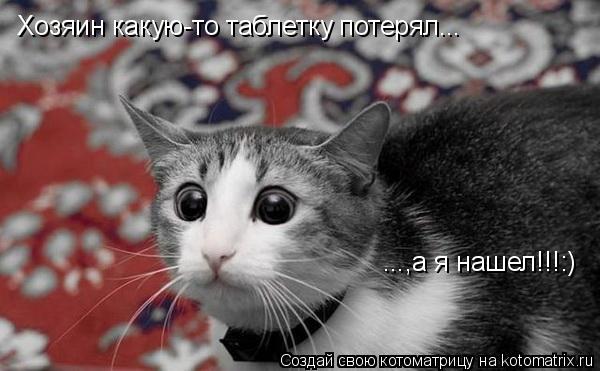 Хозяин какую-то таблетку потерял... ...,а я нашел!!!:)... Котоматрица: Хозяин какую-то таблетку потерял... ...,а я нашел!!!:)