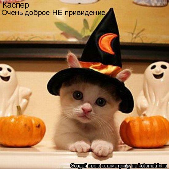 Каспер Очень доброе НЕ привидение... Котоматрица: Каспер Очень доброе НЕ привидение
