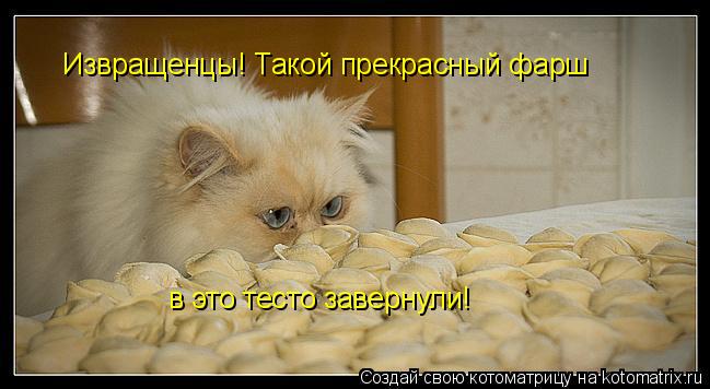 Извращенцы! Такой прекрасный фарш в это тесто завернули!... Котоматрица: Извращенцы! Такой прекрасный фарш в это тесто завернули!