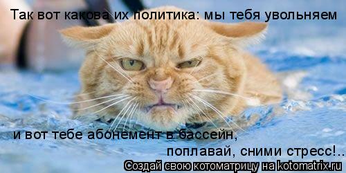 Так вот какова их политика: мы тебя увольняем и вот тебе абонемент в бассейн, поплавай, сними стрес... Котоматрица: Так вот какова их политика: мы тебя увольняем и вот тебе абонемент в бассейн, поплавай, сними стресс!..