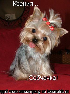 Ксения... ..Собчачка!... Котоматрица: Ксения... ..Собчачка!