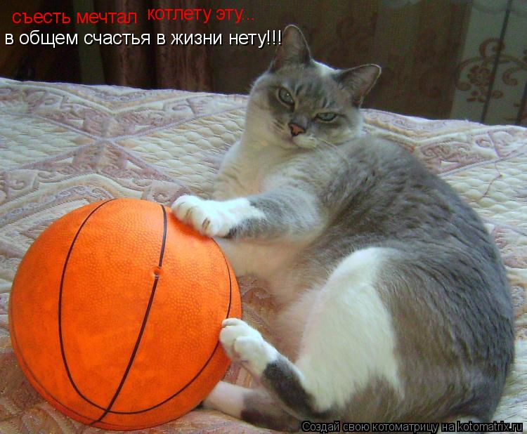 съесть мечтал котлету эту... в общем счастья в жизни нету!!!... Котоматрица: съесть мечтал котлету эту... в общем счастья в жизни нету!!!