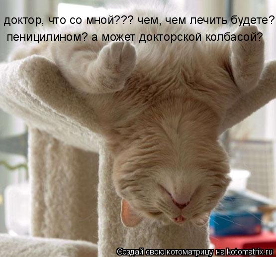Котоматрица: доктор, что со мной??? чем, чем лечить будете? пеницилином? а может докторской колбасой?
