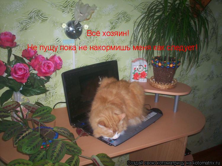Котоматрица: Всё хозяин! Не пущу пока не накормишь меня как следует!