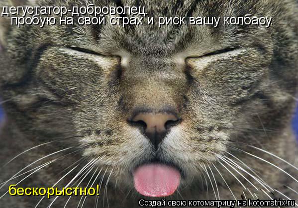 дегустатор-доброволец. пробую на свой страх и риск вашу колбасу. бескорыстно!... Котоматрица: дегустатор-доброволец. пробую на свой страх и риск вашу колбасу. бескорыстно!