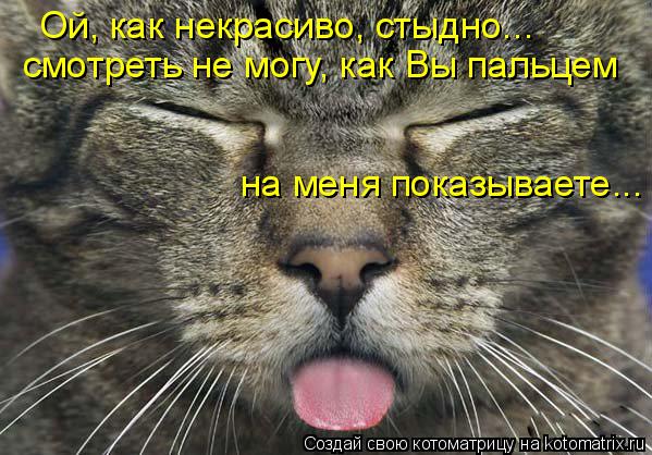 Ой, как некрасиво, стыдно... смотреть не могу, как Вы пальцем на меня показываете...... Котоматрица: Ой, как некрасиво, стыдно... смотреть не могу, как Вы пальцем на меня показываете...