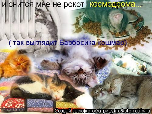 и снится мне не рокот космодрома... ( так выглядит Барбосика кошмар)... Котоматрица: и снится мне не рокот космодрома... ( так выглядит Барбосика кошмар)