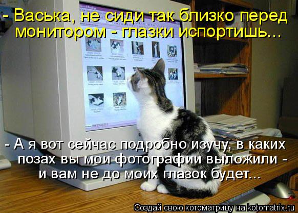 - Васька, не сиди так близко перед монитором - глазки испортишь... - А я вот сейчас подробно изучу, в... Котоматрица: - Васька, не сиди так близко перед монитором - глазки испортишь... - А я вот сейчас подробно изучу, в каких позах вы мои фотографии выложили - и