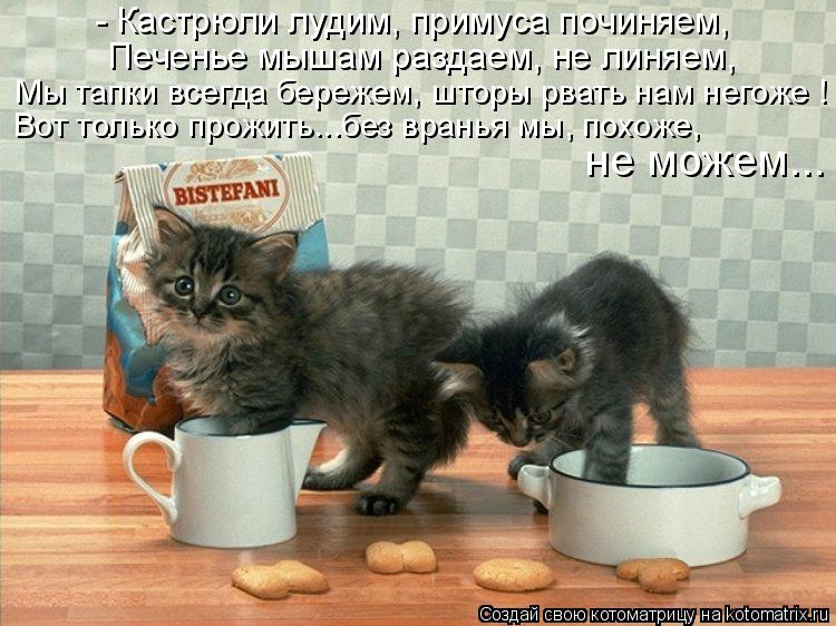 Котоматрица: не можем... - Кастрюли лудим, примуса починяем, Печенье мышам раздаем, не линяем, Мы тапки всегда бережем, шторы рвать нам негоже ! Вот только п