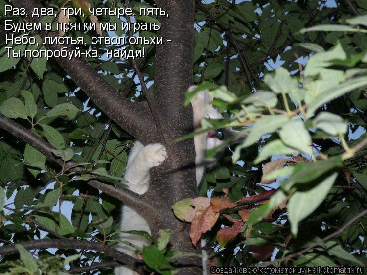 Раз, два, три, четыре, пять, Будем в прятки мы играть Небо, листья, ствол ольхи - Ты попробуй-ка, на... Котоматрица: Раз, два, три, четыре, пять, Будем в прятки мы играть Небо, листья, ствол ольхи - Ты попробуй-ка, найди!