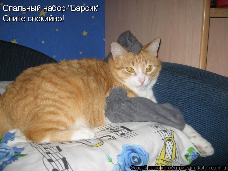 Спальный набор "Барсик" Спите спокийно!... Котоматрица: Спальный набор "Барсик" Спите спокийно!