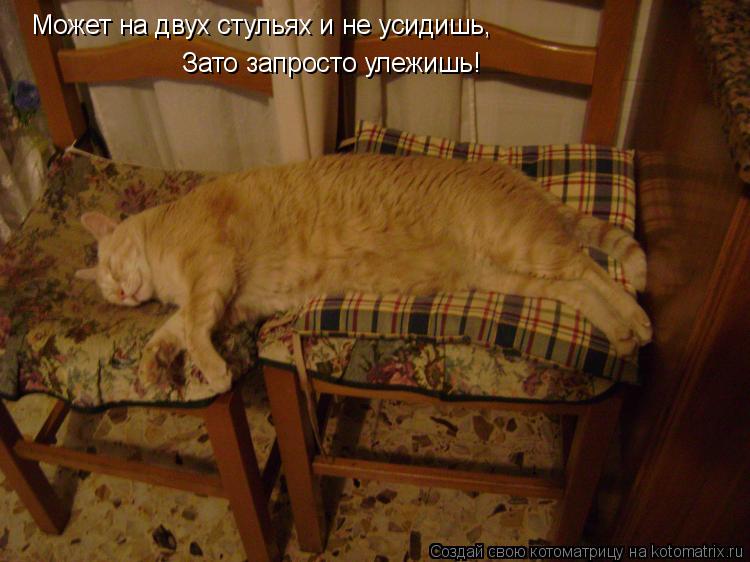 Может на двух стульях и не усидишь, Зато запросто улежишь!... Котоматрица: Может на двух стульях и не усидишь, Зато запросто улежишь!