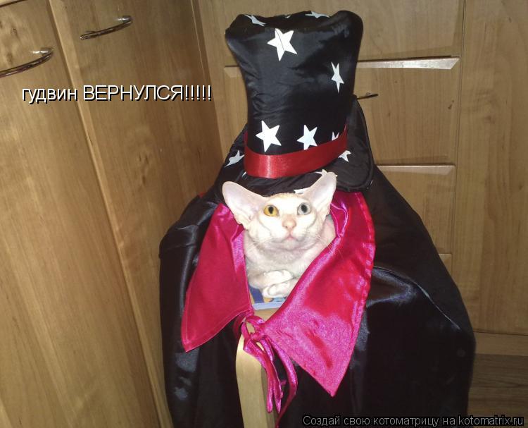 гудвин ВЕРНУЛСЯ!!!!!... Котоматрица: гудвин ВЕРНУЛСЯ!!!!!
