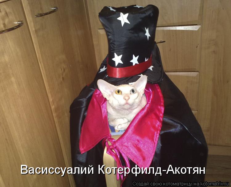 Васиссуалий Котерфилд-Акотян... Котоматрица: Васиссуалий Котерфилд-Акотян