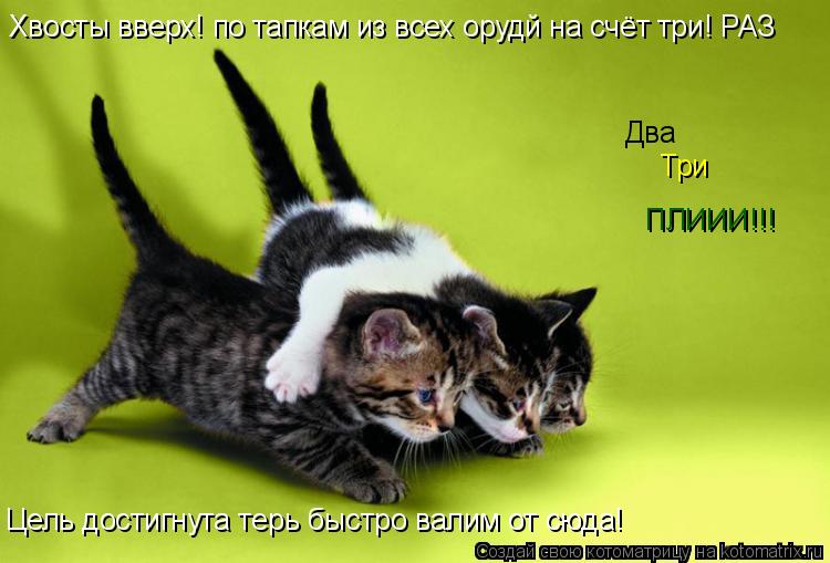 Два Три ПЛИИИ!!! Хвосты вверх! по тапкам из всех орудй на счёт три! РАЗ Цель достигнута терь быстро в... Котоматрица: Два Три ПЛИИИ!!! Хвосты вверх! по тапкам из всех орудй на счёт три! РАЗ Цель достигнута терь быстро валим от сюда!