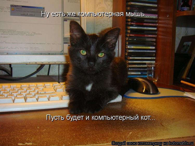 Ну есть же компьютерная мышь... Пусть будет и компьютерный кот...... Котоматрица: Ну есть же компьютерная мышь... Пусть будет и компьютерный кот...