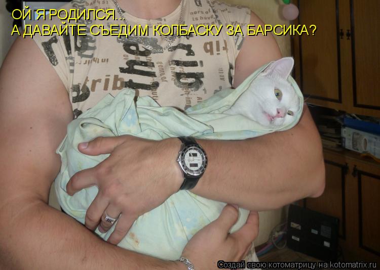 ОЙ Я РОДИЛСЯ... А ДАВАЙТЕ СЪЕДИМ КОЛБАСКУ ЗА БАРСИКА?... Котоматрица: ОЙ Я РОДИЛСЯ... А ДАВАЙТЕ СЪЕДИМ КОЛБАСКУ ЗА БАРСИКА?