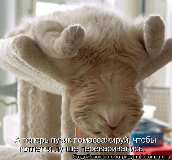-А теперь пузик помассажируй, чтобы котлетки лучше переваривались...... Котоматрица: -А теперь пузик помассажируй, чтобы котлетки лучше переваривались...