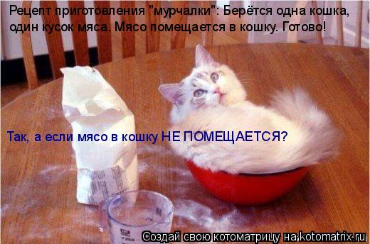 Рецепт приготовления "мурчалки": Берётся одна кошка, один кусок мяса. Мясо помещается в кошку. Готово... Котоматрица: Рецепт приготовления "мурчалки": Берётся одна кошка, один кусок мяса. Мясо помещается в кошку. Готово! Так, а если мясо в кошку НЕ ПОМЕЩАЕТСЯ?