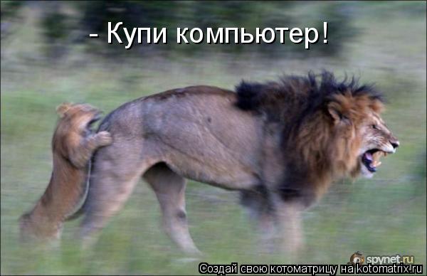 Котоматрица: - Купи компьютер!