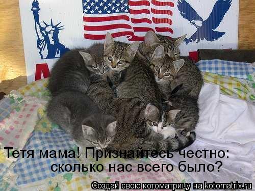 Тетя мама! Признайтесь честно: сколько нас всего было?... Котоматрица: Тетя мама! Признайтесь честно: сколько нас всего было?