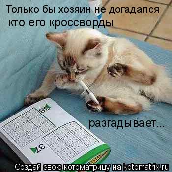Только бы хозяин не догадался кто его кроссворды разгадывает...... Котоматрица: Только бы хозяин не догадался кто его кроссворды разгадывает...