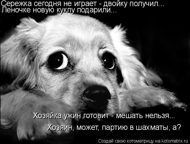 Сережка сегодня не играет - двойку получил... Леночке новую куклу подарили... Хозяйка ужин готовит - ... Котоматрица: Сережка сегодня не играет - двойку получил... Леночке новую куклу подарили... Хозяйка ужин готовит - мешать нельзя... Хозяин, может, партию в ша