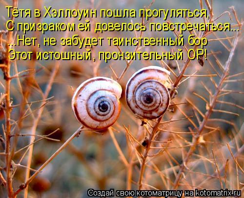 Тётя в Хэллоуин пошла прогуляться, С призраком ей довелось повстречаться... ...Нет, не забудет таинст... Котоматрица: Тётя в Хэллоуин пошла прогуляться, С призраком ей довелось повстречаться... ...Нет, не забудет таинственный бор Этот истошный, пронзительный