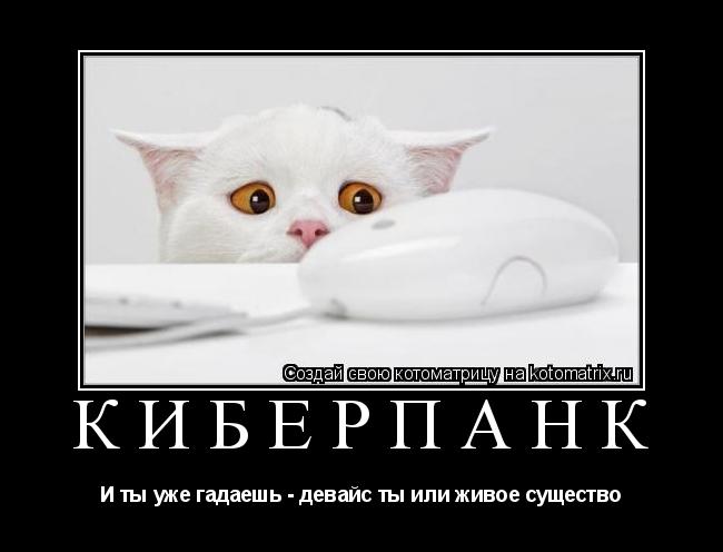 Киберпанк И ты уже гадаешь - девайс ты или живое существо... Котоматрица: Киберпанк И ты уже гадаешь - девайс ты или живое существо