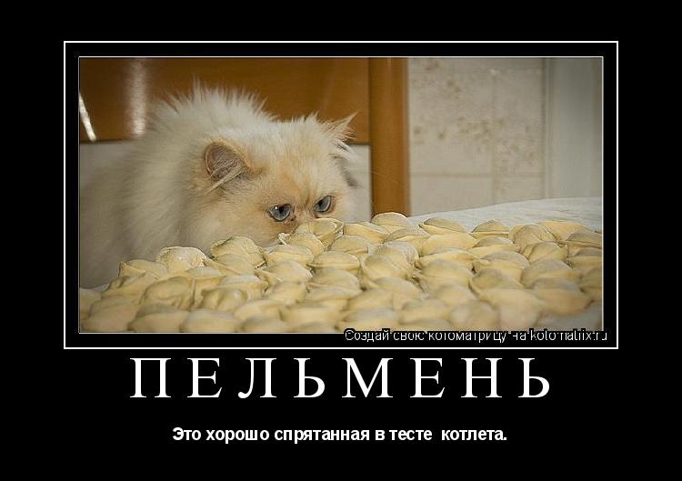 Котоматрица: ПЕЛЬМЕНЬ Это хорошо спрятанная в тесте  котлета.