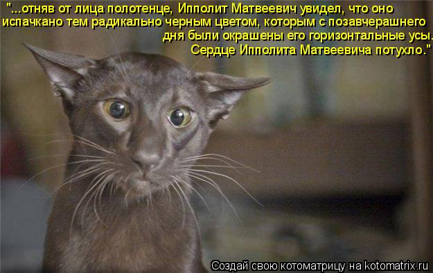 "...отняв от лица полотенце, Ипполит Матвеевич увидел, что оно испачкано тем радикально черным цветом... Котоматрица: "...отняв от лица полотенце, Ипполит Матвеевич увидел, что оно испачкано тем радикально черным цветом, которым с позавчерашнего дня были окр