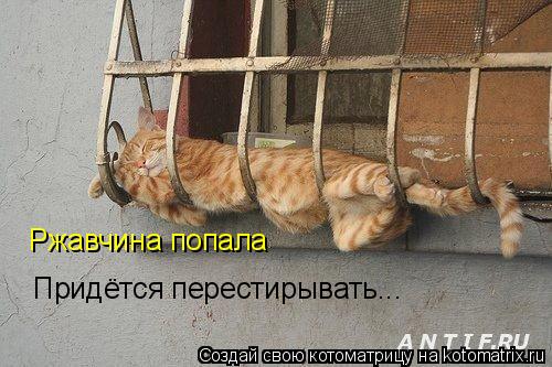 Котоматрица: Ржавчина попала Придётся перестирывать...