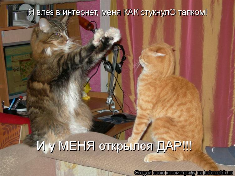 Я влез в интернет, меня КАК стукнулО тапком! И у МЕНЯ открылся ДАР!!!... Котоматрица: Я влез в интернет, меня КАК стукнулО тапком! И у МЕНЯ открылся ДАР!!!