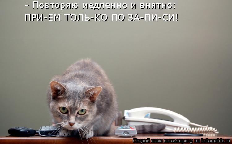 - Повторяю медленно и внятно: ПРИ-ЕМ ТОЛЬ-КО ПО ЗА-ПИ-СИ!... Котоматрица: - Повторяю медленно и внятно: ПРИ-ЕМ ТОЛЬ-КО ПО ЗА-ПИ-СИ!