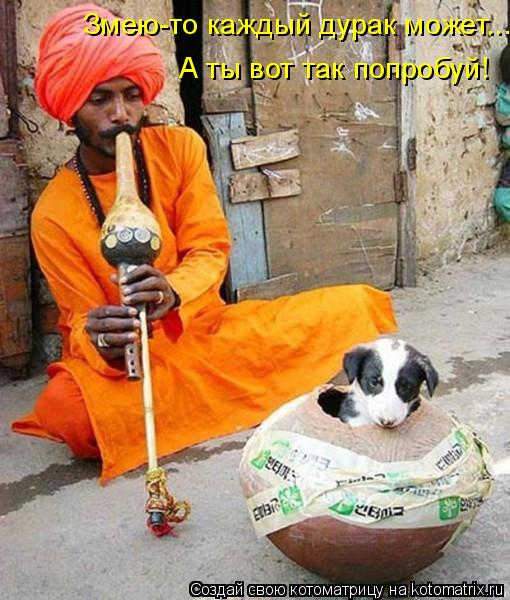 Змею-то каждый дурак может... А ты вот так попробуй!... Котоматрица: Змею-то каждый дурак может... А ты вот так попробуй!