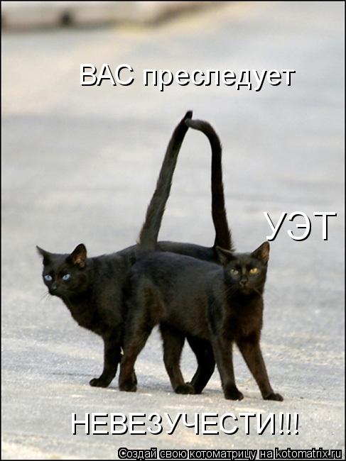 ВАС преследует УЭТ НЕВЕЗУЧЕСТИ!!!... Котоматрица: ВАС преследует УЭТ НЕВЕЗУЧЕСТИ!!!