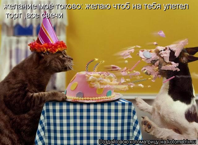 желание моё токово: желаю чтоб на тебя улетел торт ,все свечи... Котоматрица: желание моё токово: желаю чтоб на тебя улетел торт ,все свечи